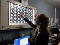 Radiologist reads film images